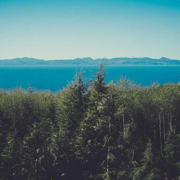 project-thumbnail-img